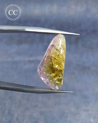 Gemstone Tweezers holding a Bi Coloured Tourmaline Cabochon from Siberia 