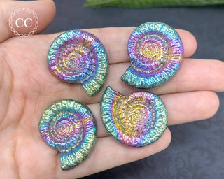 Rainbow Bismuth Ammonites in hand