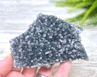 Black Amethyst Cluster - Uruguay #1