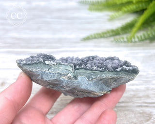 Black Amethyst Cluster - Uruguay #1
