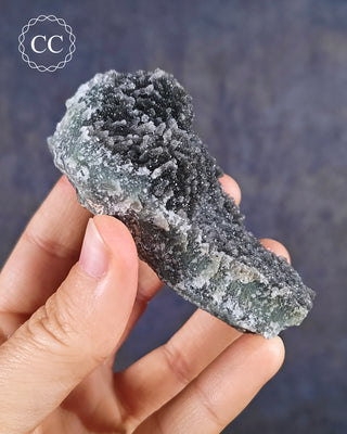 Black Amethyst Cluster - Uruguay #4