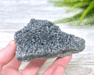 Black Amethyst Cluster - Uruguay #2