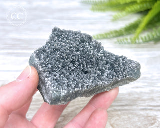 Black Amethyst Cluster - Uruguay #2