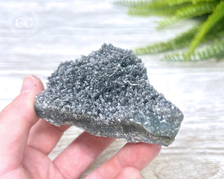 Black Amethyst Cluster - Uruguay #2