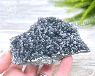 Black Amethyst Cluster - Uruguay #1
