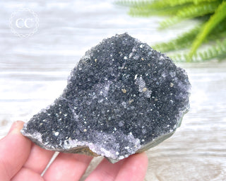 Black Amethyst Cluster - Uruguay #3