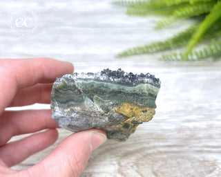 Black Amethyst Cluster - Uruguay #3