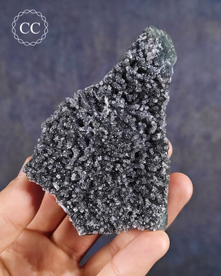 Black Amethyst Cluster from Uruguay in hand on blue background