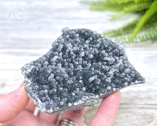 Black Amethyst Cluster - Uruguay #1