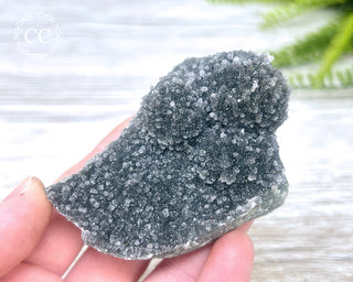 Black Amethyst Cluster - Uruguay #4