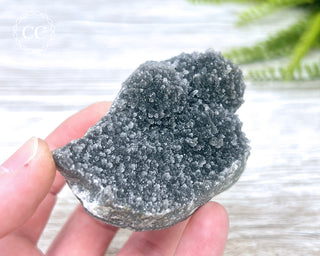 Black Amethyst Cluster - Uruguay #4