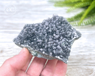 Black Amethyst Cluster - Uruguay #1