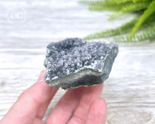Black Amethyst Cluster - Uruguay #1