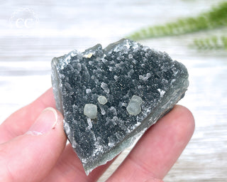 Black Amethyst Cluster - Uruguay #6
