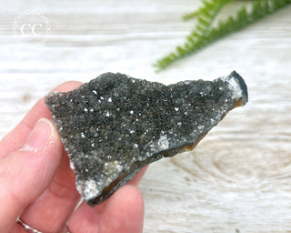 Black Amethyst Cluster #20