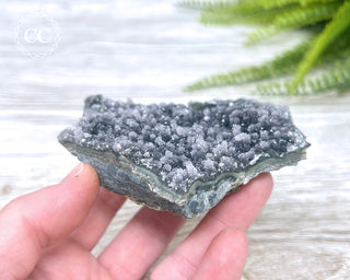 Black Amethyst Cluster - Uruguay #1