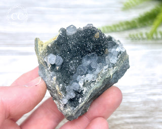 Black Amethyst Cluster - Uruguay #7