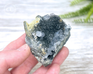 Black Amethyst Cluster - Uruguay #7
