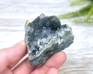 Black Amethyst Cluster - Uruguay #7