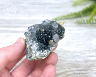Black Amethyst Cluster - Uruguay #7