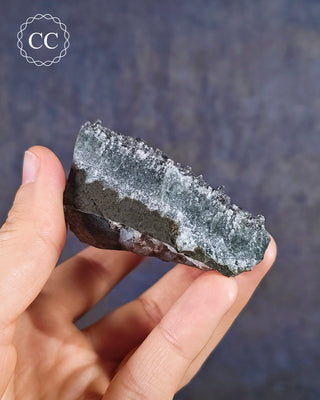 Black Amethyst Cluster - Uruguay #2