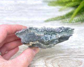 Black Amethyst Cluster - Uruguay #1