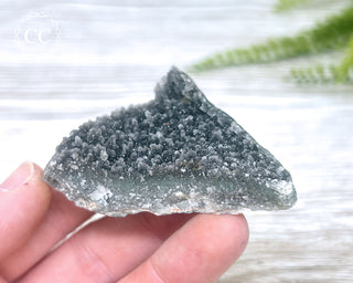 Black Amethyst Cluster - Uruguay #8