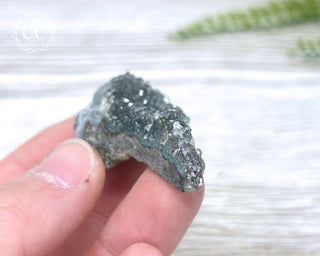 Black Amethyst Cluster - Uruguay #9