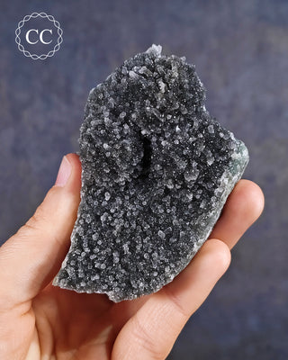 Black Amethyst Cluster from Uruguay in hand on blue background