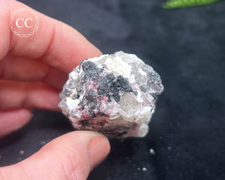 Pink & Black Tourmaline in Quartz #2