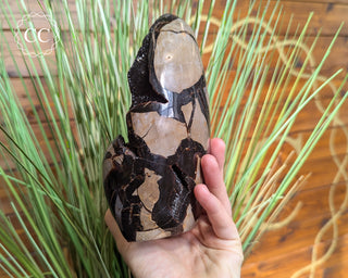 Large Black Druzy Septarian Freeform #11