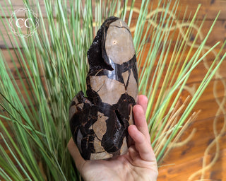 Large Black Druzy Septarian Freeform #11