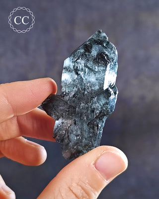 Black Gypsum - La Rioja #4