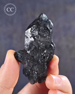 Black Gypsum - La Rioja #4