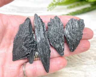 Black Kyanite Crystal - Medium