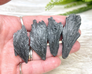 Black Kyanite Crystal - Medium