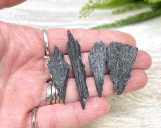 Black Kyanite Crystal - Small
