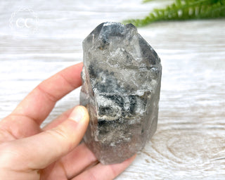 Black Lodolite Quartz #1