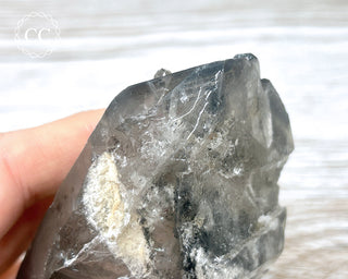 Black Lodolite Quartz #1