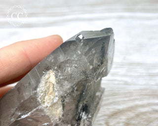 Black Lodolite Quartz #1