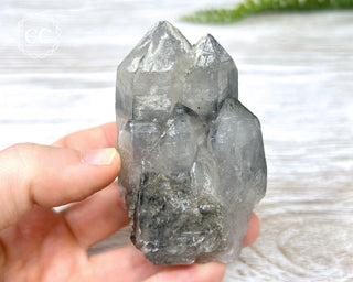 Black Lodolite Quartz #2