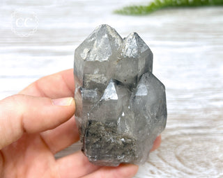 Black Lodolite Quartz #2