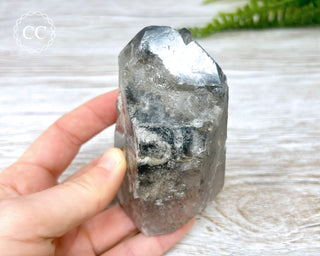 Black Lodolite Quartz #1