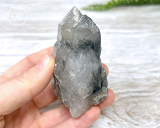 Black Lodolite Quartz #2