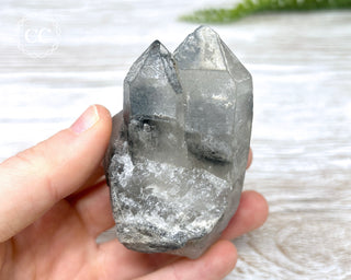 Black Lodolite Quartz #2