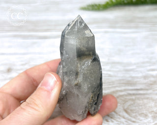 Black Lodolite Quartz #2