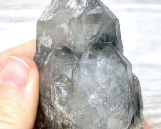 Black Lodolite Quartz #2