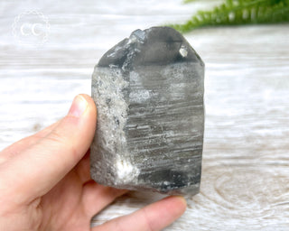 Black Lodolite Quartz #1