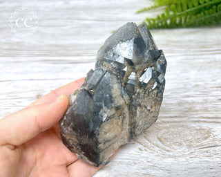 Black Lodolite Quartz #3