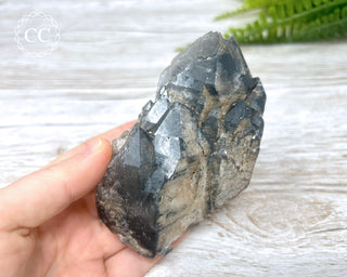 Black Lodolite Quartz #3